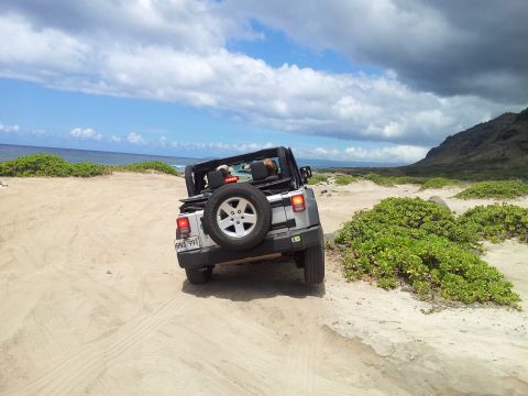 1990 Chevrolet Suburban - Jeep Wrangler drives on a sandy coastal road with green bushes and mountains in the background.