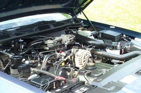 1998 Ford Crown Victoria - The engine bay of a 1998 Ford Crown Victoria is visible with the hood open.