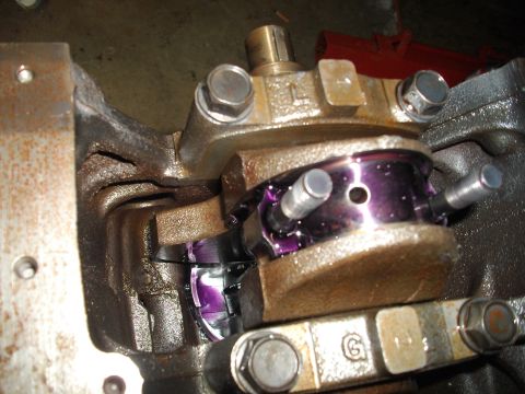 1989 Ford Probe - Close-up view of an engine crankshaft bearing with purple assembly lube applied to the bearing surfaces.