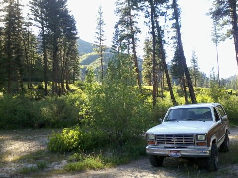 1981 Ford Bronco - A two-tone Ford Bronco is parked in a wooded area with a mountain in the background.