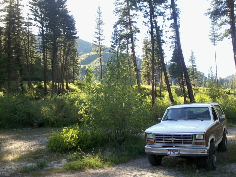 White and brown Ford Bronco parked on a dirt road in a forest
