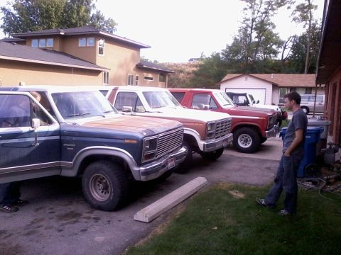 1981 Ford Bronco - A line of classic Ford trucks and Broncos are parked outside a residential building.