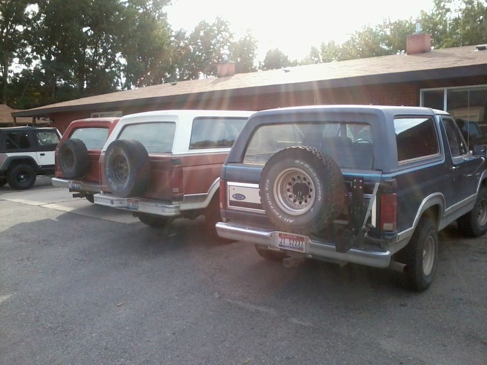 Three Ford Broncos parked in a row, rear view. The closest is dark blue, the middle is reddish-brown, and the furthest is red. All have spare tires mounted on the back