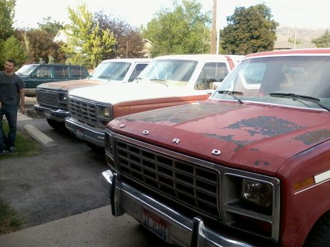 1981 Ford Bronco - Multiple Ford vehicles, including a red Bronco, are lined up outdoors.