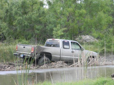 1989 Ford Bronco - A silver pickup truck is stuck in muddy water surrounded by reeds and trees.