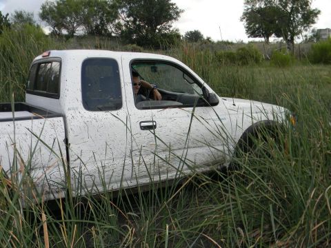 1989 Ford Bronco - Pickup truck stuck in tall grass with driver inside.