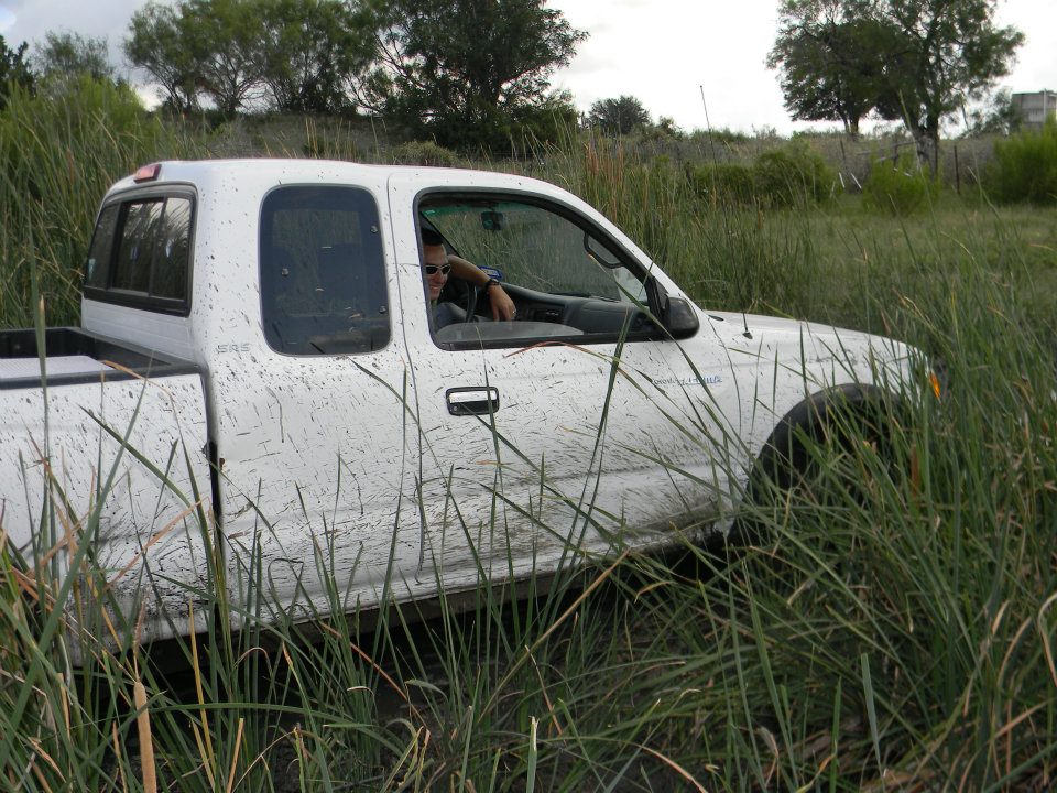 White pickup truck partially obscured by tall grass, driver visible inside