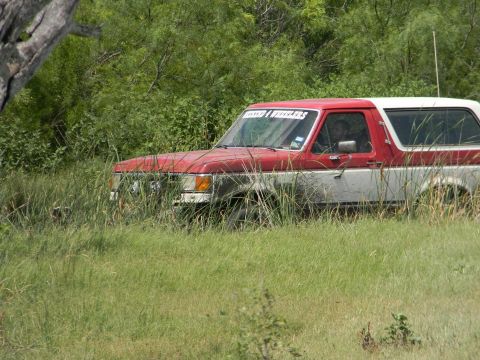 1989 Ford Bronco - This two-tone SUV is partially hidden by overgrown vegetation, with a sticker on the windshield.