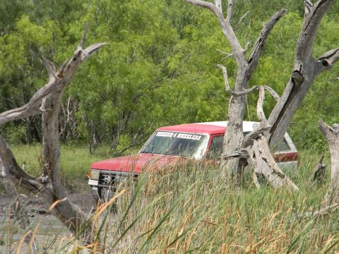 1989 Ford Bronco - A red and white 1989 Ford Bronco is seen partially hidden in tall grass and dead trees, with "TIERED 4 WHEELERS" visible on the windshield.