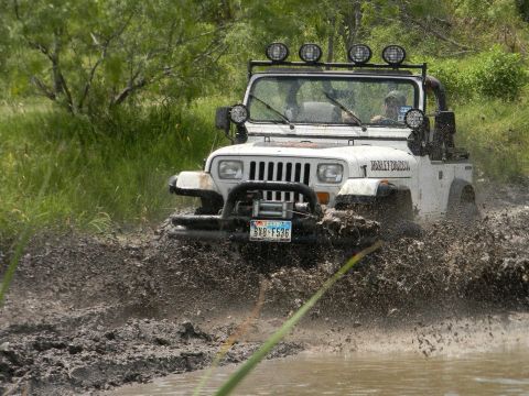 1989 Ford Bronco - A white Jeep Wrangler navigates a muddy trail with "Harley Davidson" branding visible on its side.