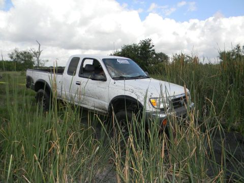 1989 Ford Bronco - A white pickup truck is partially submerged in muddy water, surrounded by tall reeds under a cloudy sky.