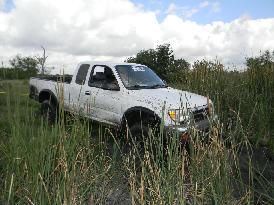 White pickup truck stuck in tall grass and mud
