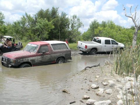 1989 Ford Bronco - Two vehicles are stuck in a muddy body of water, with trees and reeds surrounding them.