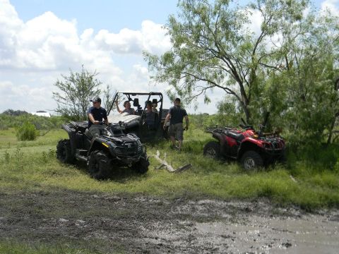 1989 Ford Bronco - Several ATVs and a UTV are parked in a muddy, grassy area under trees on a cloudy day.