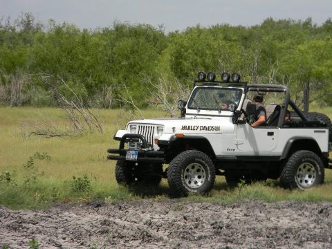 1989 Ford Bronco - This white Jeep Wrangler features a Harley Davidson decal and is equipped for off-road adventures.