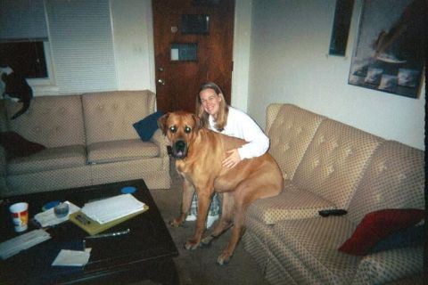 1994 Ford Bronco - A woman sits with her dog on a couch in a living room.