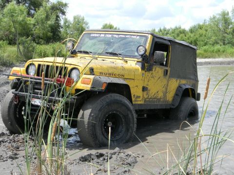 1989 Ford Bronco - This yellow Jeep Wrangler Rubicon is partially submerged in muddy water, with tall reeds growing nearby.