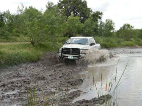 1989 Ford Bronco - Pickup truck navigating a muddy, watery terrain with vegetation surrounding it.