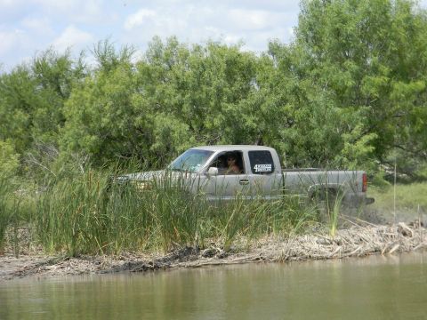 1989 Ford Bronco - A silver pickup truck navigates through a muddy, watery terrain surrounded by dense vegetation.