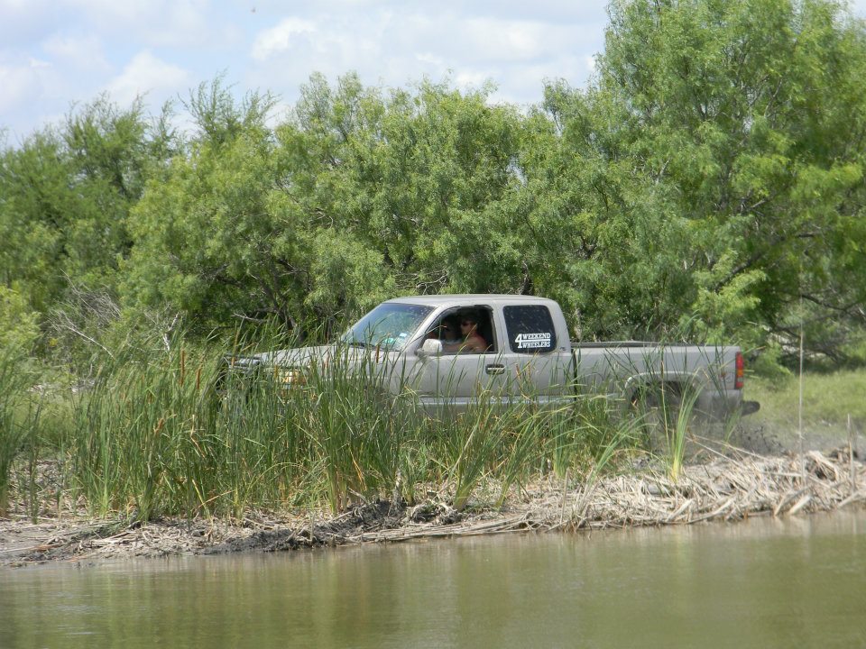 Silver pickup truck driving through tall grass and water, driver visible