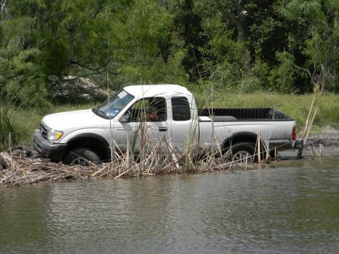1989 Ford Bronco - White Toyota Tacoma stuck in water and mud with reeds around it.