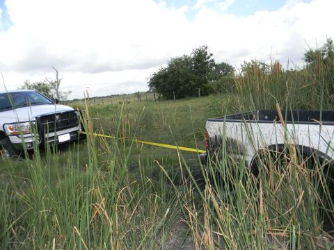 1989 Ford Bronco - Two trucks are stuck in the mud and tall grass, with one appearing to be stuck deeper than the other.