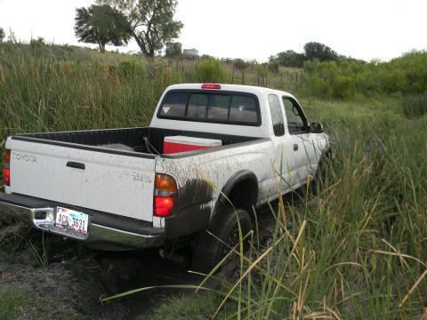 1989 Ford Bronco - This Toyota pickup truck is stuck in the mud, with tall grass surrounding it.