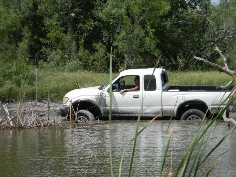 1989 Ford Bronco - A white pickup truck is stuck in a muddy, watery area with vegetation.