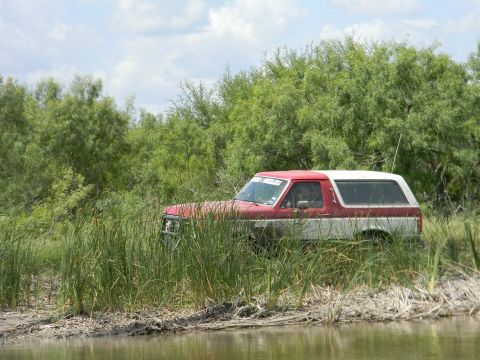 1989 Ford Bronco - A red and white 1989 Ford Bronco is seen partially obscured by tall reeds and water, suggesting off-road adventure.