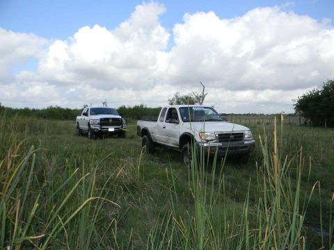 1989 Ford Bronco - Two pickup trucks are parked in a field with tall grass and scattered trees under a cloudy sky.