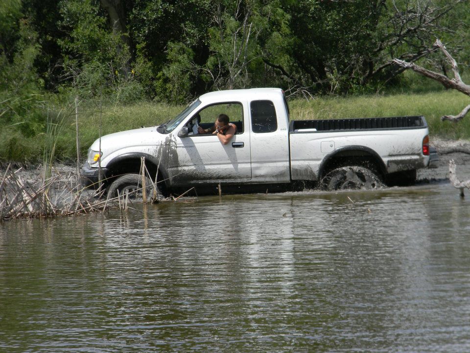 White pickup truck stuck in shallow water with reeds on the left