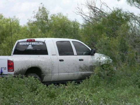 1989 Ford Bronco - A white pickup truck is partially obscured by vegetation, showing significant mud splatter from off-road use.