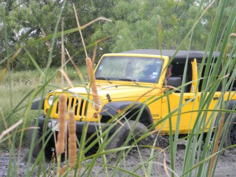 1989 Ford Bronco - A yellow Jeep Wrangler navigates through a muddy, overgrown area.