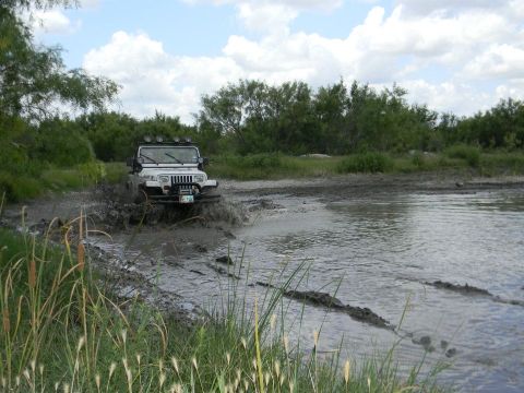 1989 Ford Bronco - Jeep Wrangler navigates a muddy, watery terrain with vegetation and trees surrounding the area.