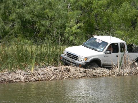 1989 Ford Bronco - A white pickup truck is stuck in the water, surrounded by reeds and vegetation.