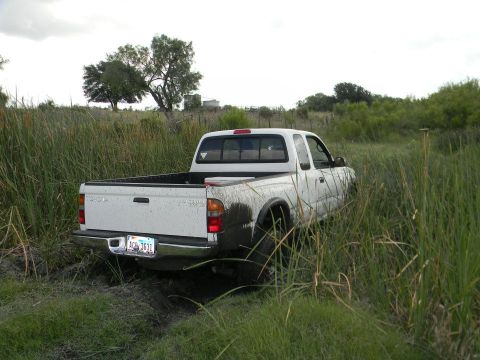 1989 Ford Bronco - A white Toyota pickup truck is stuck in tall grass and mud, viewed from the rear.