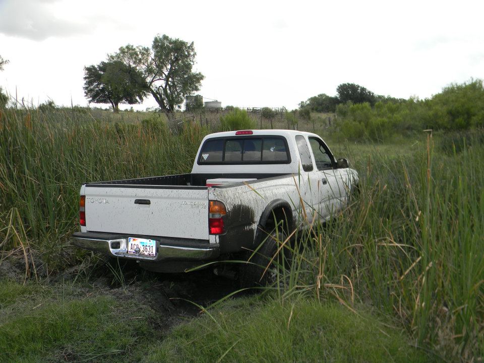 White Toyota pickup truck stuck in tall grass and mud, rear view