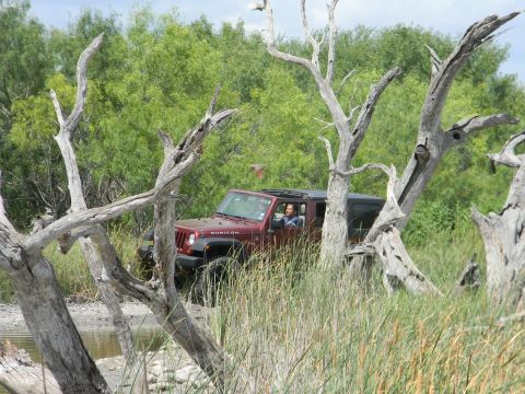 1989 Ford Bronco - A red Jeep Wrangler Rubicon navigates through a natural landscape with dense vegetation and dead trees.