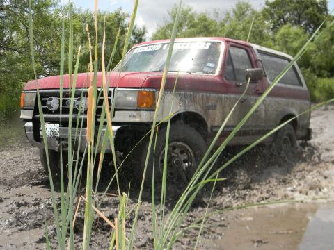 1989 Ford Bronco - Muddy Ford Bronco navigates a wet, off-road terrain.