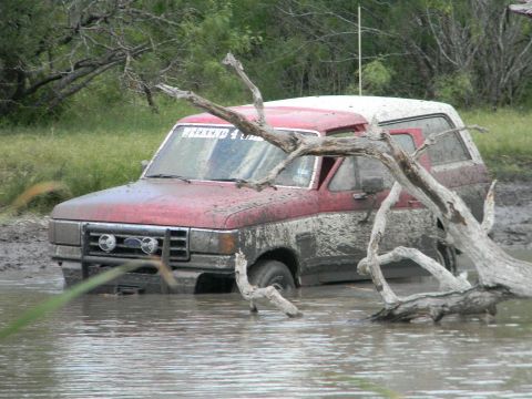 1989 Ford Bronco - This SUV is deep in the mud, with branches obscuring the view.
