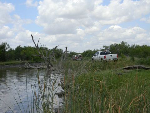 1989 Ford Bronco - Two vehicles are parked in a natural landscape with a pond and scattered dead trees under a cloudy sky.