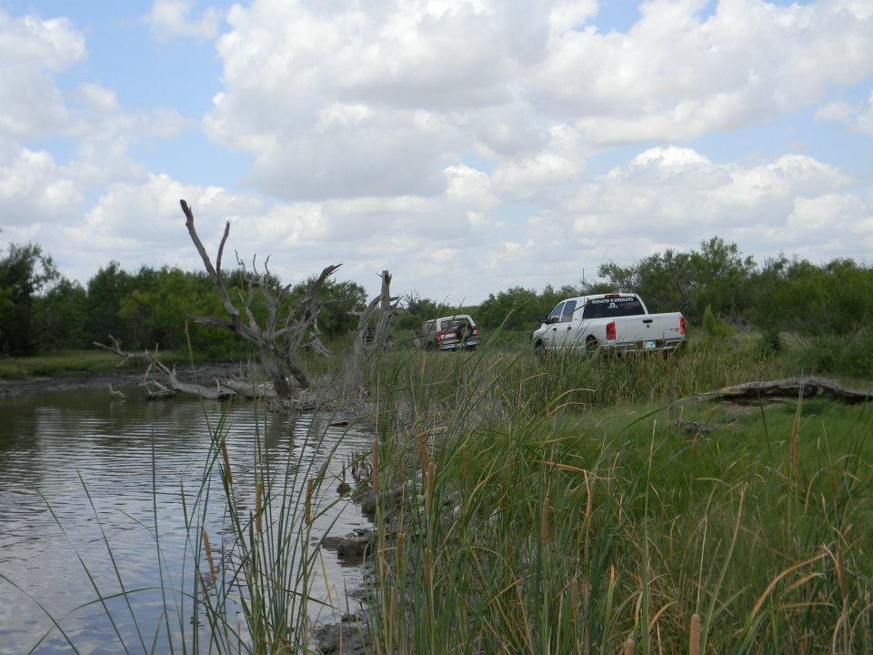 White pickup truck and a red SUV parked in a grassy area near a pond with dead trees