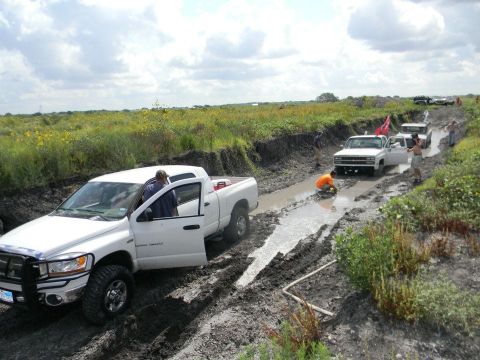 1989 Ford Bronco - Several trucks are stuck in a muddy track, with people attempting to help them through.