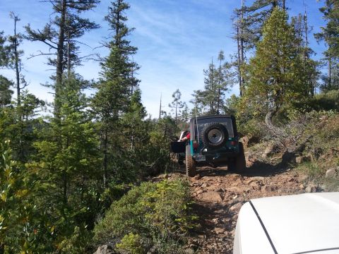 1994 Ford Bronco - Two off-road vehicles navigate a dense forest trail under a bright blue sky.