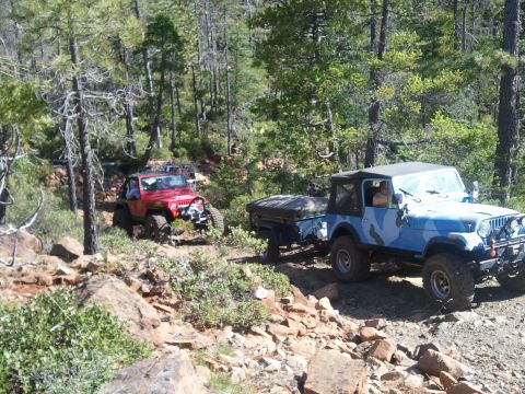 1994 Ford Bronco - Two Jeeps navigate a rocky trail through a wooded area.