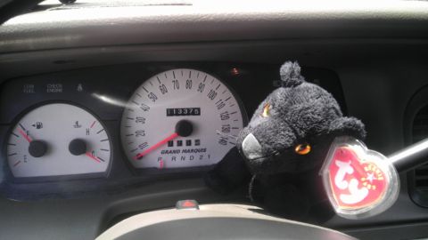 2000 Mercury Grand Marquis - A plush black panther toy sits on the dashboard next to the speedometer of a vehicle.