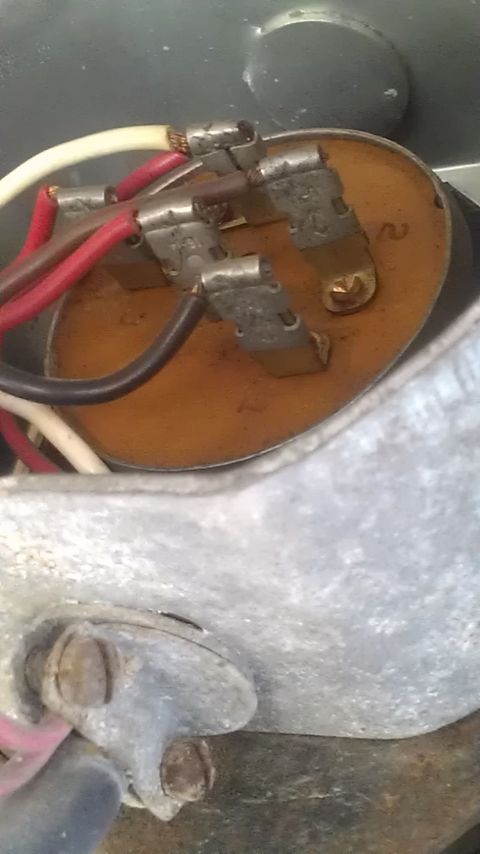 1991 Chevrolet Cheyenne - Close-up view of an electrical connector with multiple wires.