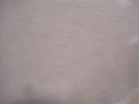 1993 Ford Bronco - This image shows a portion of a vehicle's interior headliner, with no discernible year or model identification visible.