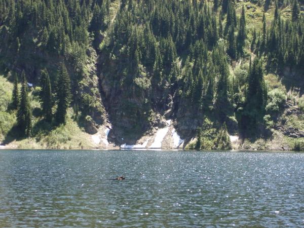 Lake with duck, forested mountain, and "SUPERMOTORS" watermark
