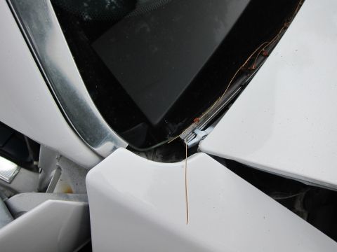 1991 Ford LTD Crown Victoria - Close-up of a white car's hood and windshield area, showing trim and a piece of straw.